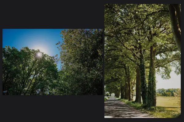 Dortherweg 39, EPSE