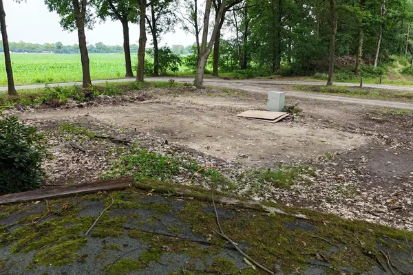 De Stille Wille 24