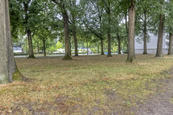 Wijnruitweg 98, TILBURG
