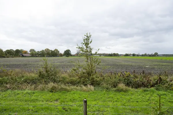 Speltakker 17, GILZE