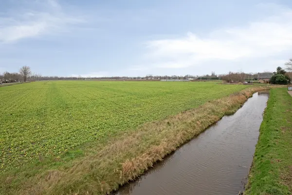 Dasseweide 13, VEGHEL