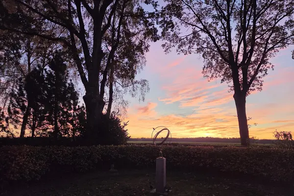 De Stille Wille 323
