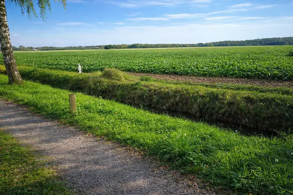 De Stille Wille 323, OOST WEST EN MIDDELBEERS