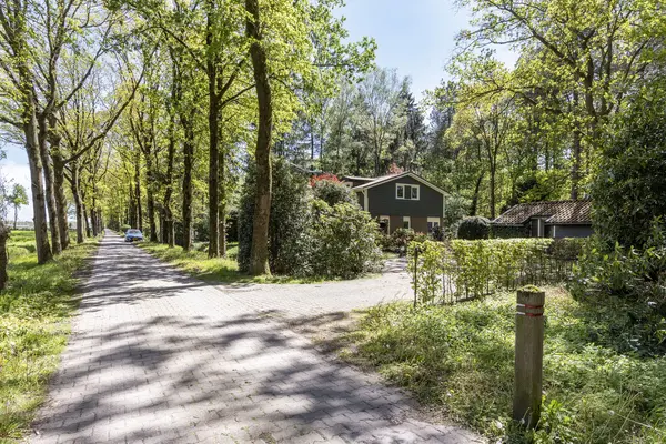 De Stille Wille 4, OOST WEST EN MIDDELBEERS
