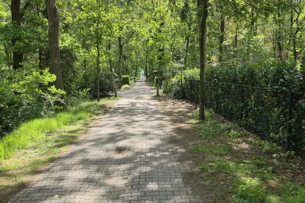 De Stille Wille 224, OOST WEST EN MIDDELBEERS