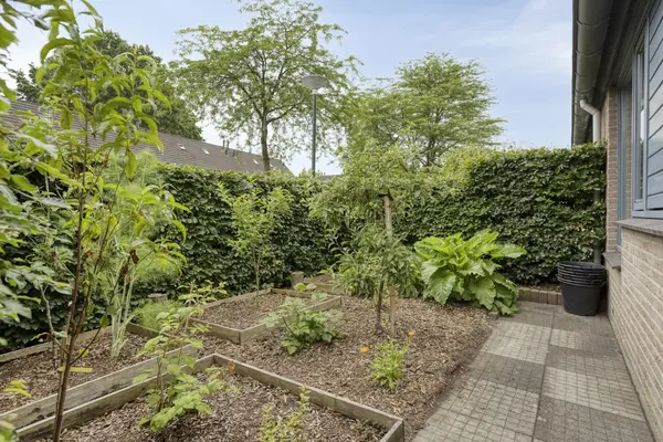 Berliozhof 19, SCHIJNDEL