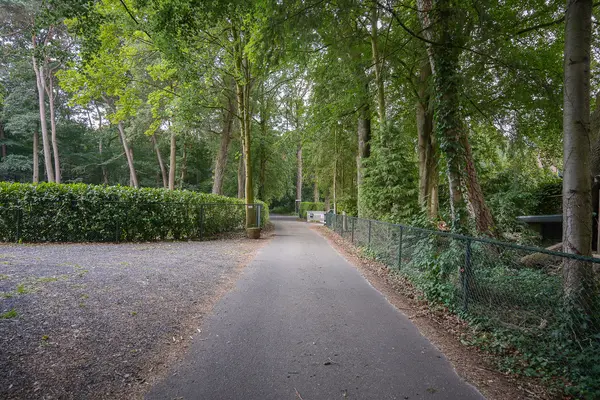 Onder de Bos 103, HULSHORST