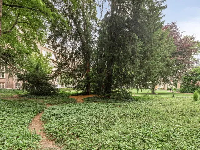 Foto van Uilenburg 34