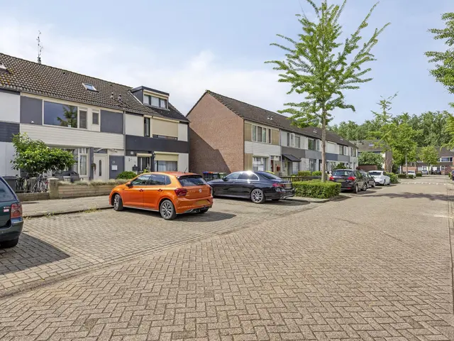 Foto van Robijn 15