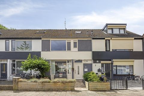 Robijn 15