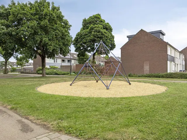Foto van Robijn 15