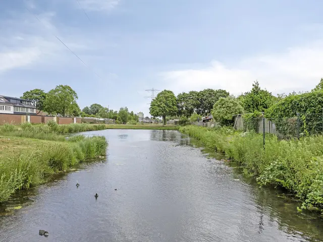 Foto van Robijn 15