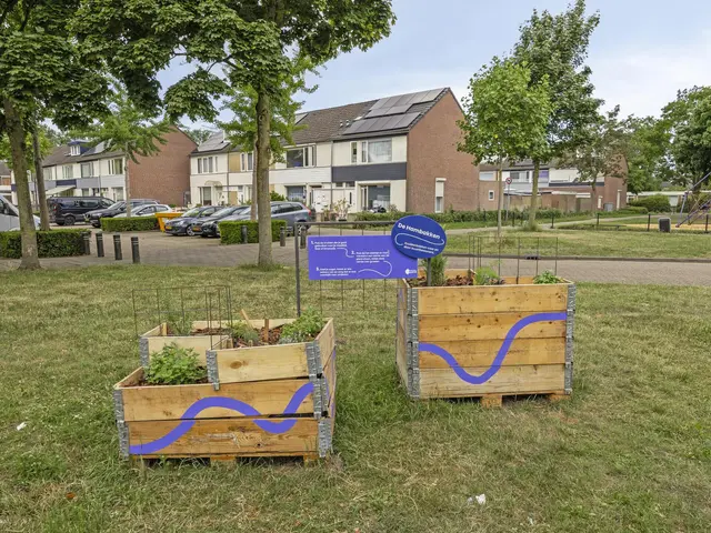 Foto van Robijn 15