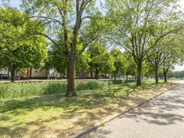 Foto van Abraham Hopmanstraat 24