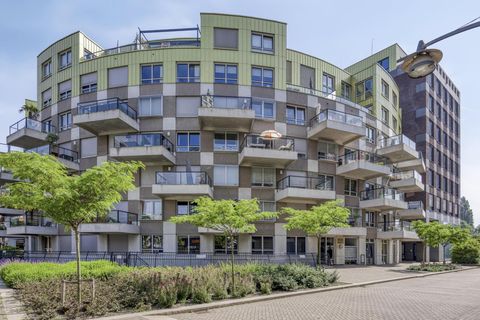 Spiegeltuin 39