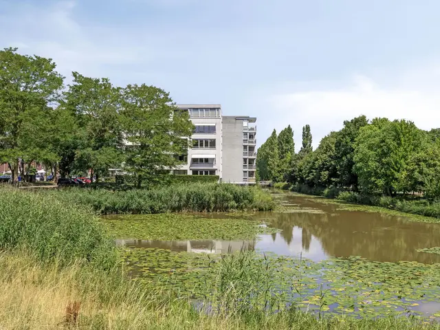 Foto van Schaapsveldje 130