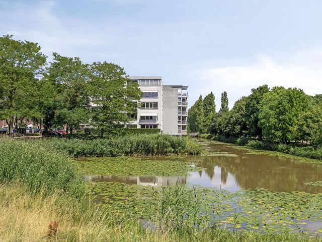 Foto van Schaapsveldje 130
