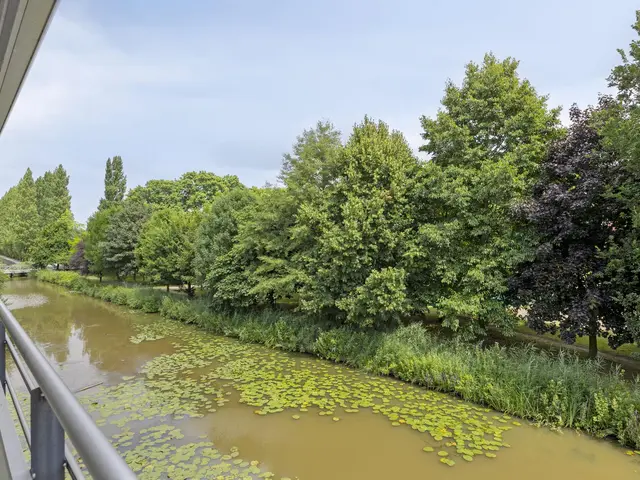 Foto van Schaapsveldje 130