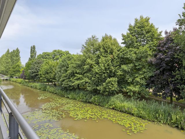 Foto van Schaapsveldje 130