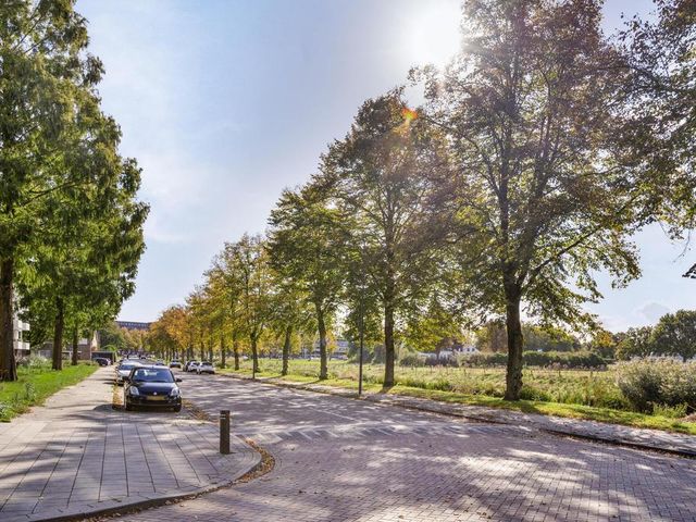 Foto van Hudsonlaan 128