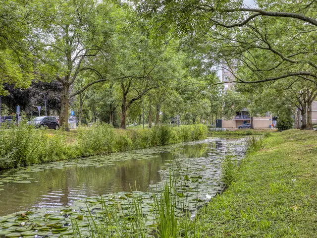 Foto van Frans Molstraat 18