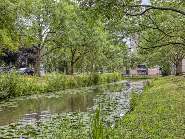 Foto van Frans Molstraat 18