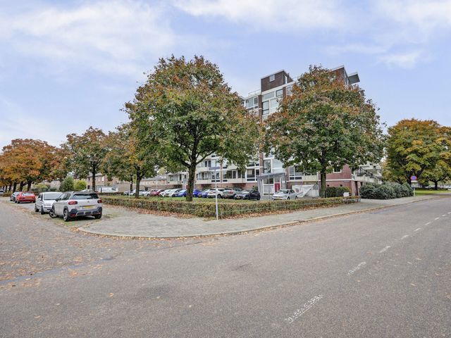 Foto van Lagemorgenlaan 196