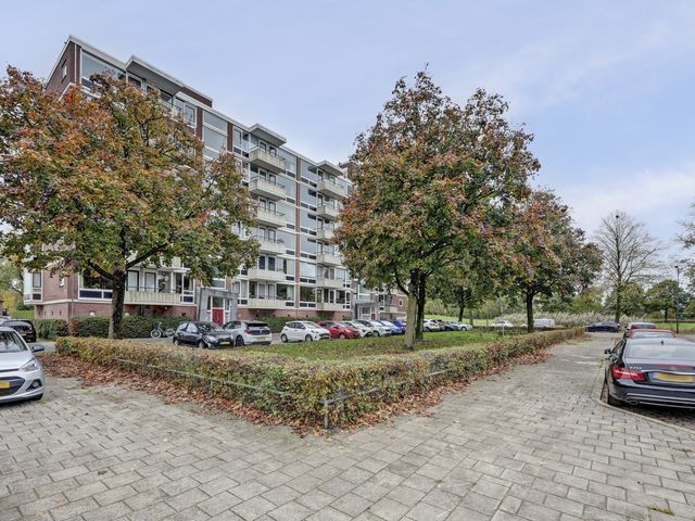 Foto van Lagemorgenlaan 196