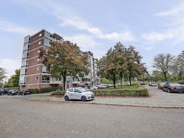 Foto van Lagemorgenlaan 196