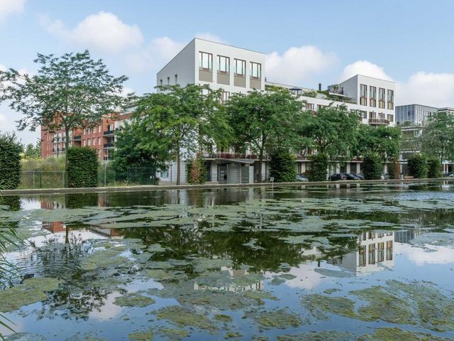 Foto van Jonkerstraat 21