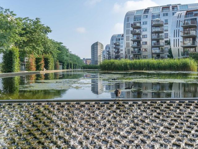 Foto van Jonkerstraat 21