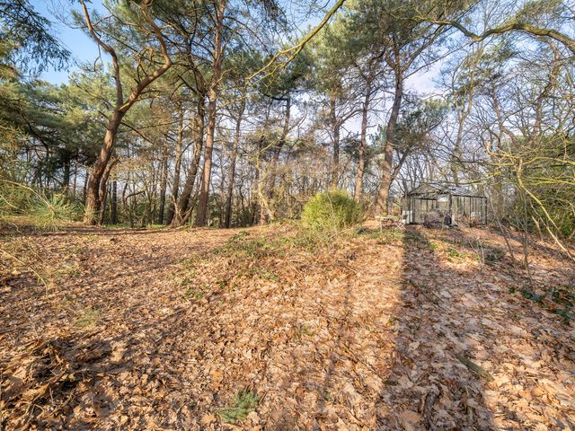 Foto van Elzenstraat 7