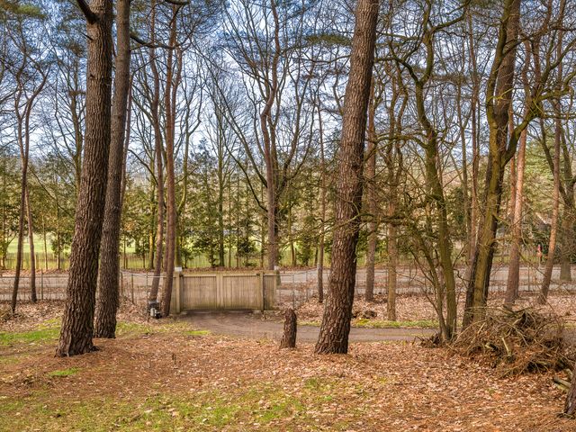 Foto van Elzenstraat 7