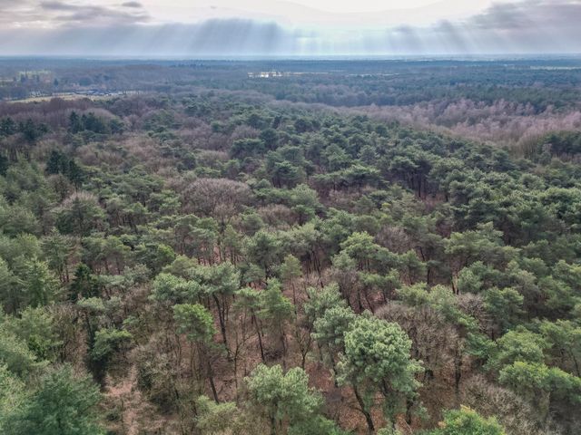 Foto van Elzenstraat 7