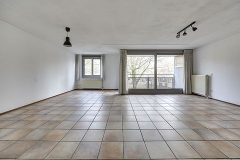 van Berckelstraat 50