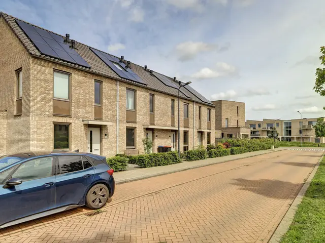 Foto van Fluitenkruid 40