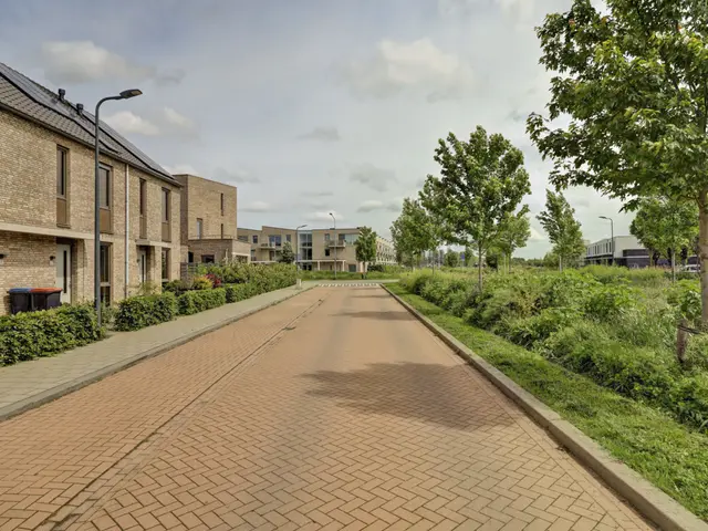 Foto van Fluitenkruid 40