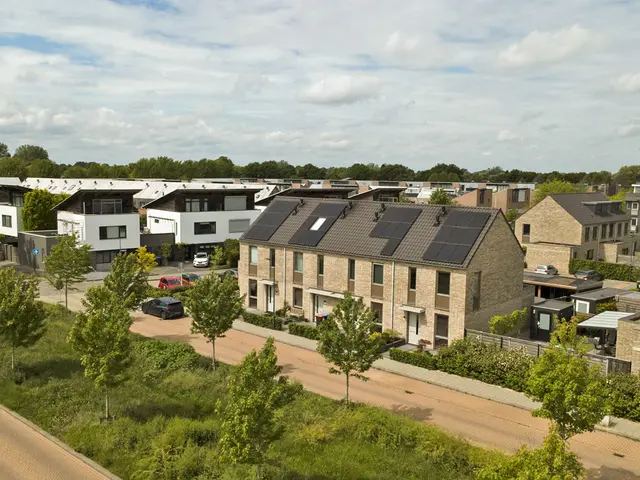 Foto van Fluitenkruid 40