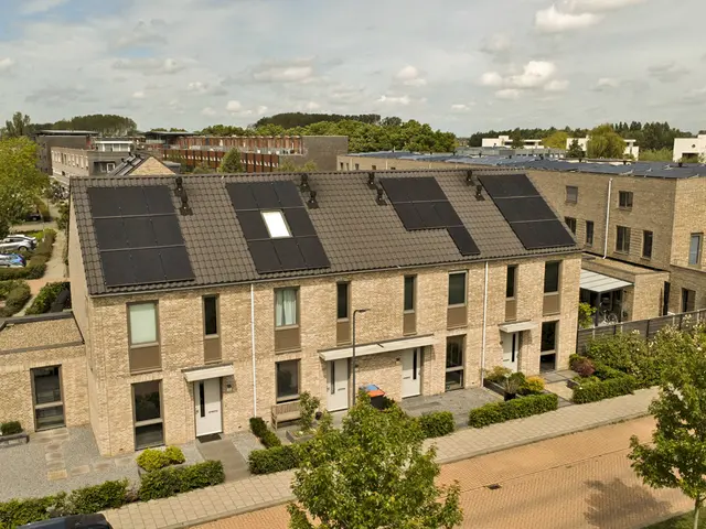 Foto van Fluitenkruid 40