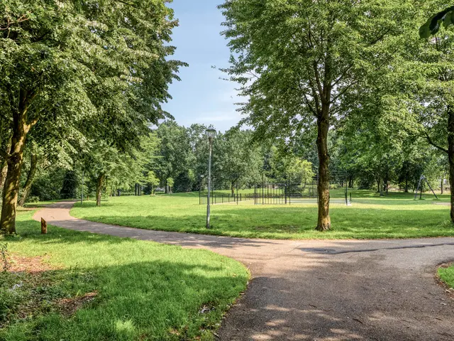 Foto van Eerste Hambaken 119
