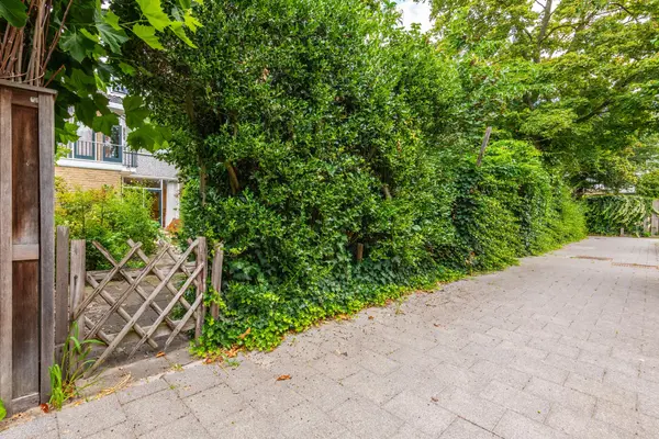 Arent van 's-Gravesandestraat 6, ROTTERDAM