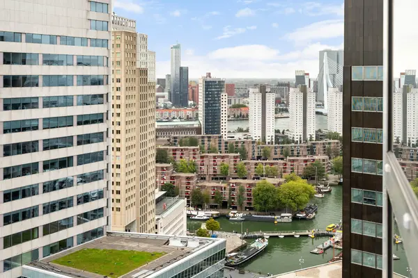 Bulgersteyn 7293, ROTTERDAM