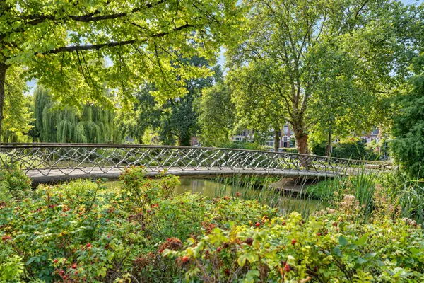 Spoorsingel 44A 02, ROTTERDAM