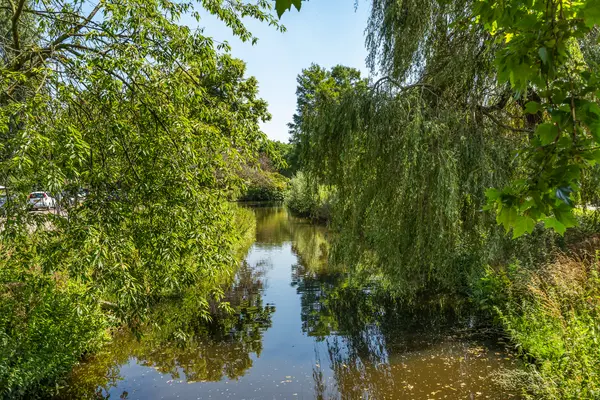Swammerdamsingel 79, SCHIEDAM