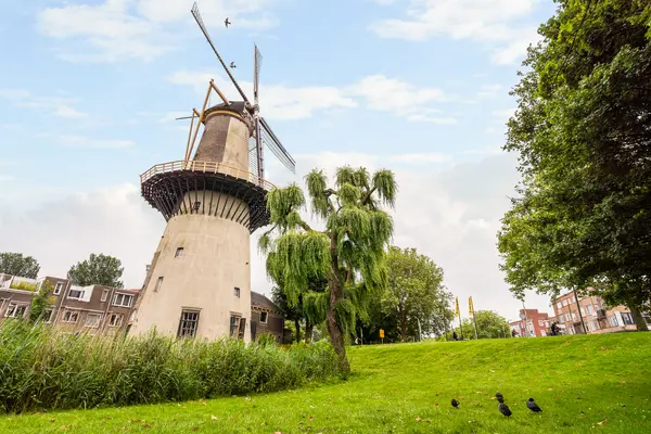 Swammerdamsingel 79, SCHIEDAM