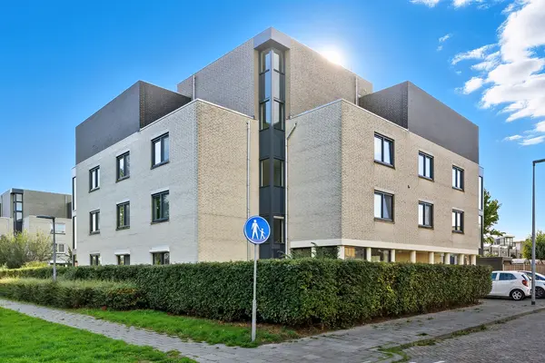 Lavendelveld 88