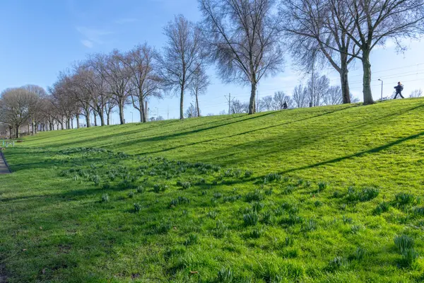 Rotterdamsedijk 26A, SCHIEDAM