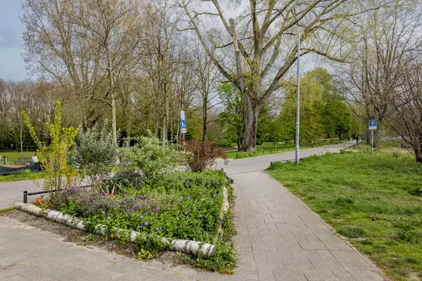 Hoofdlaan 39, ROTTERDAM