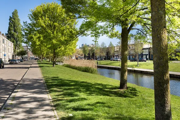Lepelaarsingel 43B, ROTTERDAM