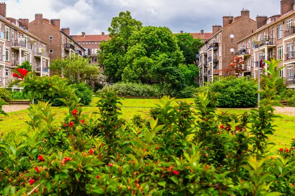 Johan de Meesterstraat 24B, ROTTERDAM